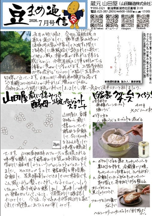 豆まめ通信2026.7月号