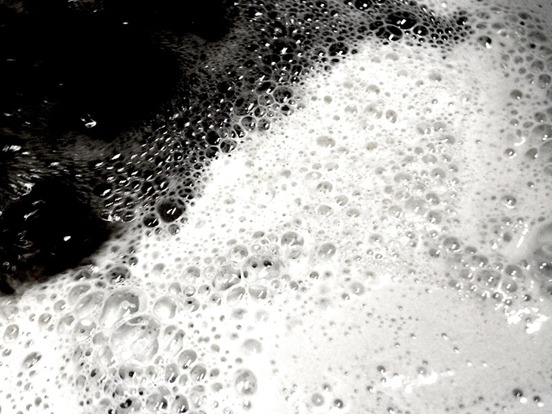 味噌の蔵付き酵母