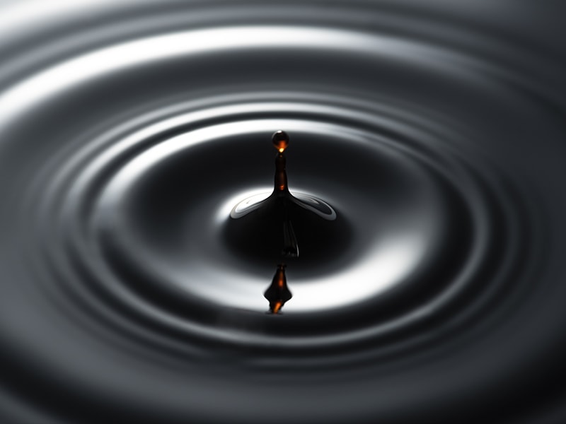 新潟の美味しい醤油