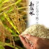 仕込み味噌_糀